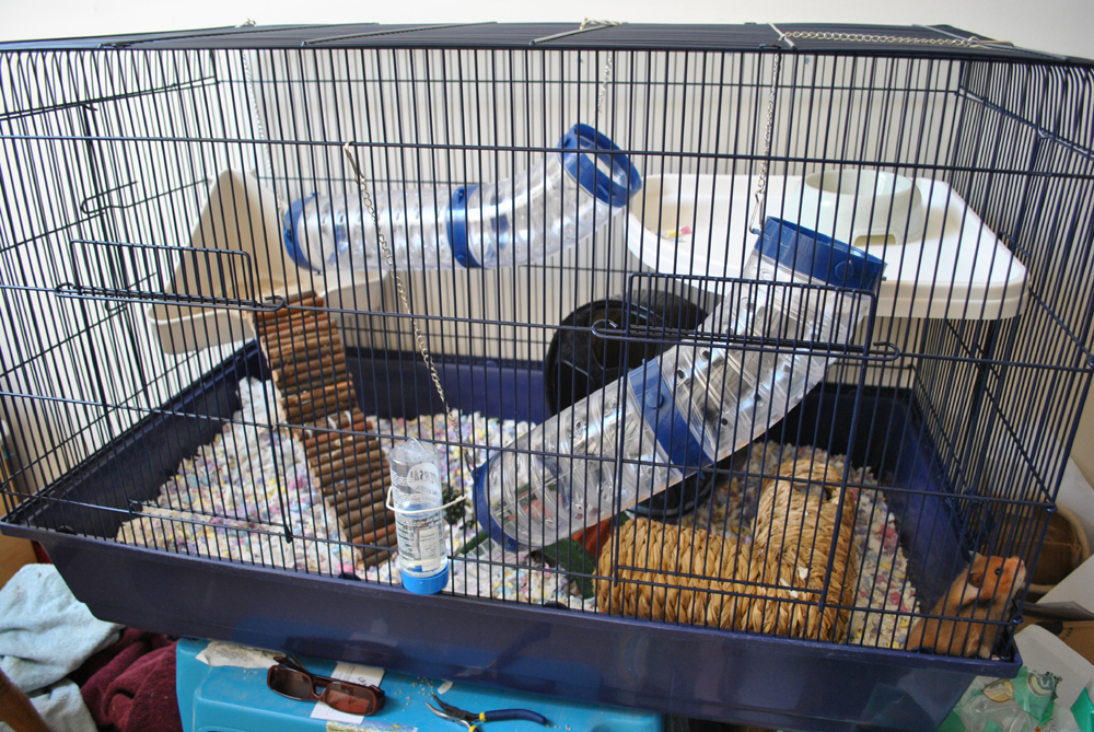 mamble rat cage